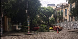 Tragédia anunciada na Lapa: queda de árvore na rua Sílvio Romero expõe descaso da prefeitura