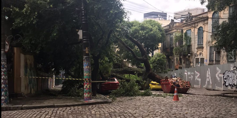 Tragédia anunciada na Lapa: queda de árvore na rua Sílvio Romero expõe descaso da prefeitura